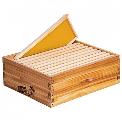 MayBee 8/10 Frame Medium Super Bee Box Wax Coated