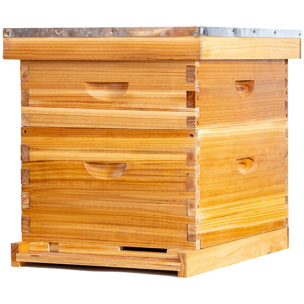 Maybee Hives Standard Langstroth Hive 10 Frame 2 Layer Hive Include Co