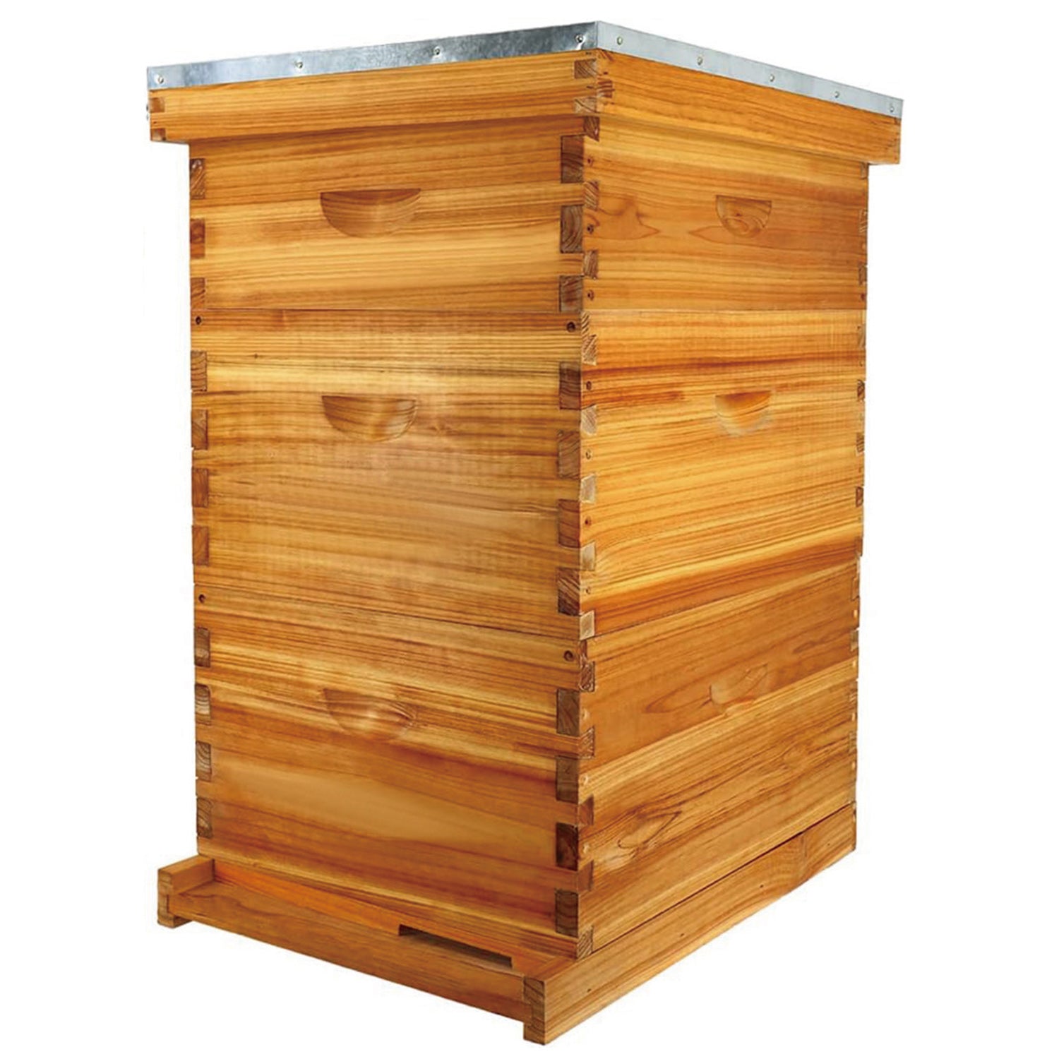 Medium 6 5/8 honey super bee hive body with frames and foundations 2024 with 3D relief carving (Un-Assembled) Langstroth