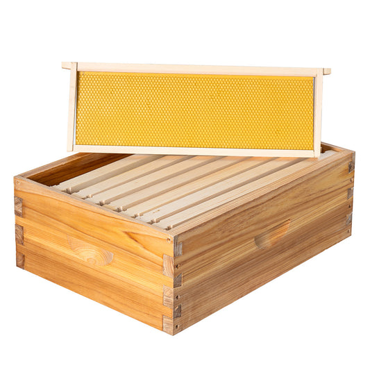 MayBee Hives 8 Frame Beeswax Coated Medium Super Bee Box Includes Pine Wooden Frames and Beeswax-Plastic Foundation(NO LOGO)