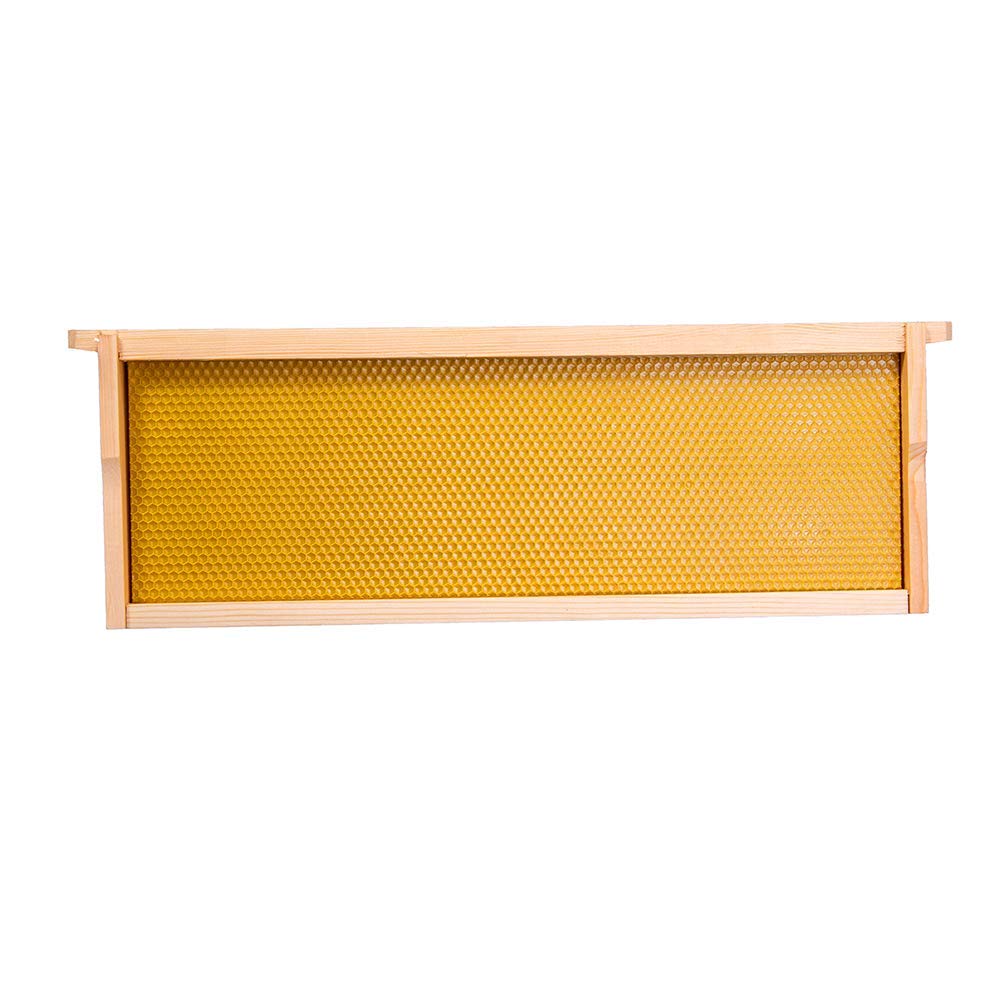 MayBee Hives Unassemble 10 Frame Medium Super Bee Box BeesWax Coated B ...