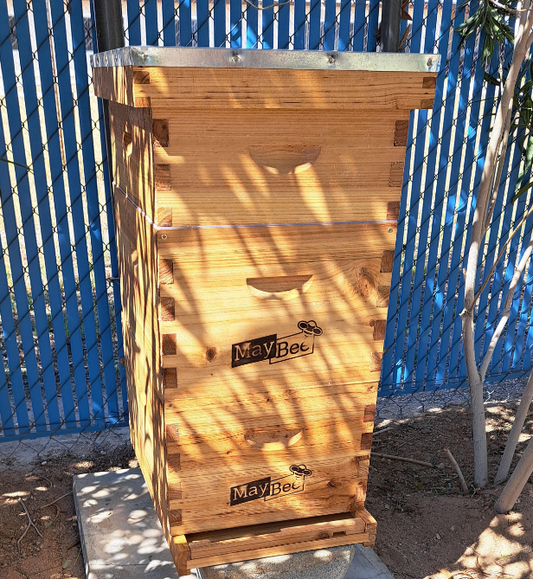 MayBee Hives Wax-Coated 8 Frame 3 Layer Beehive with 2 Deep Boxes and 1 Honey Super Box, Featuring Premium Wooden Frames and Beeswax-Plastic Foundation.