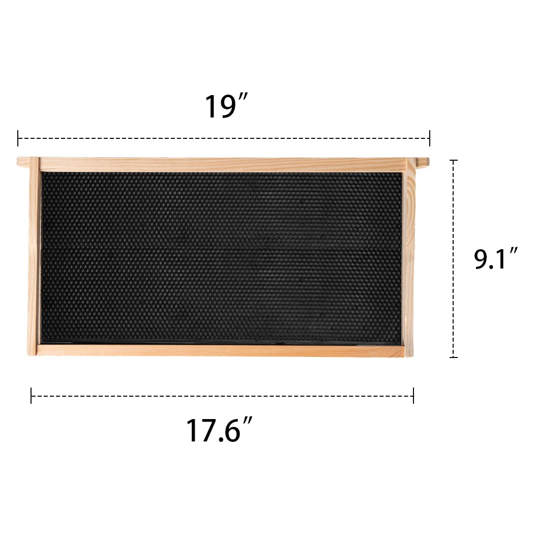 maybee hives 10 Pack Deep Beehive Frames dimension