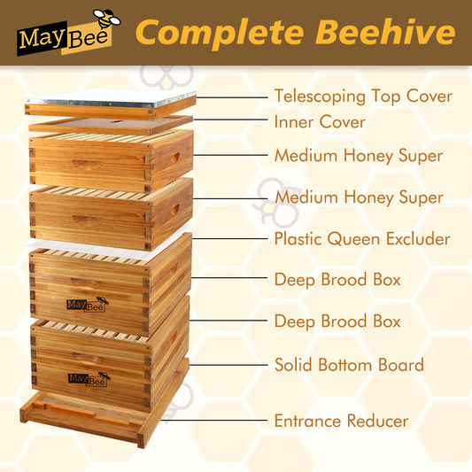 MayBee 10 Frame 4 Layer