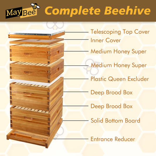 MayBee Hives 10 Frame 4 Layer Beeswax Coated Langstroth Beehive Includes 2 Deep Brood Boxes and 2 Medium Super Boxes Hive with Wooden Frames and Beeswax Plastic Foundation(NO LOGO)