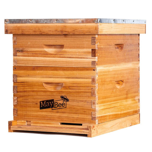 langstroth hive for sale