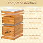 MayBee Hives Beeswax Coated 10 Frame Langstroth Beehive Include 1 Bee Deep Box And 1 Bee Super Box (No Frame No Foundation, Metal Queen Excluder)