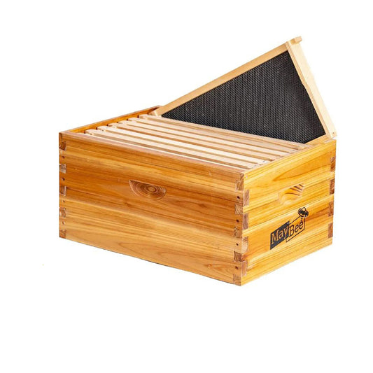 maybee hive box