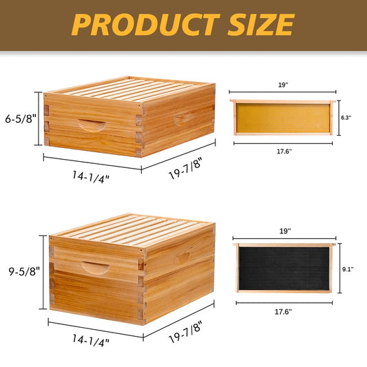 maybee hive box