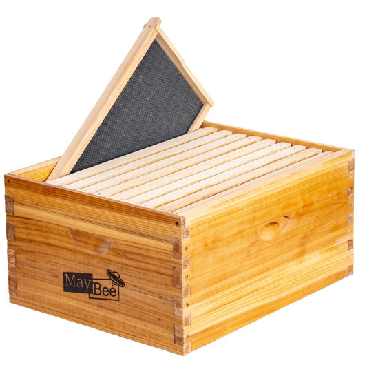 maybee hive box