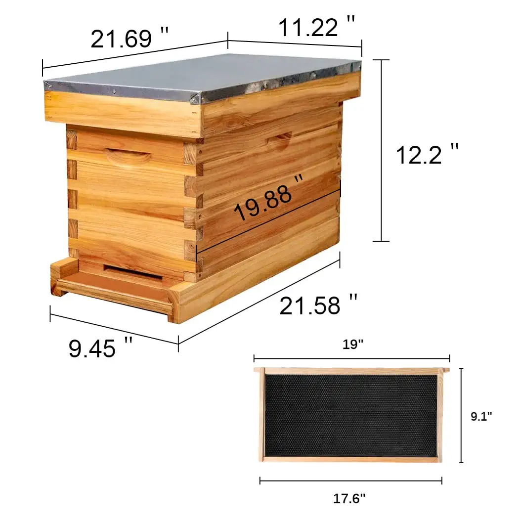 5 frame nucs for sale