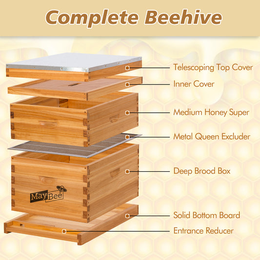 MayBee Hives Complete Beehive 
Kits