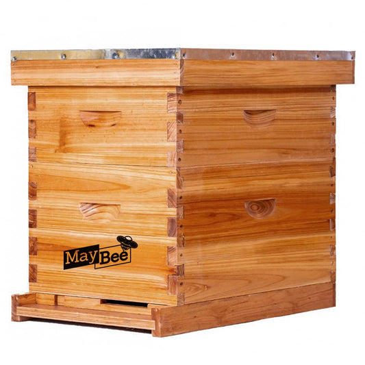 MayBee 8 Frame 2 layer wax coated Bee Hives